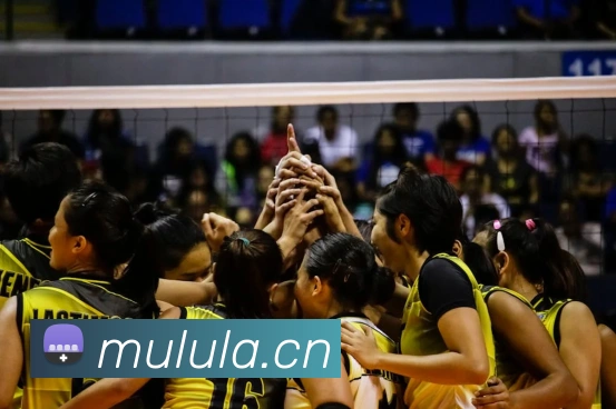 mk体育官方网平台生态图